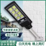 Outdoor security pole light