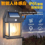 Outdoor censor light security