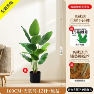 Indoor palm leaf plant