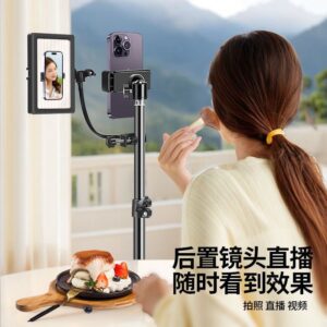 Mirror phone clamp